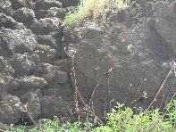 Serra_Pizzuta - Eruzione_del_1792_cratere_20100602 124.jpg
